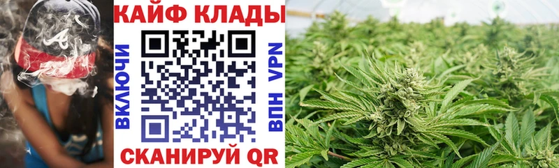Виды наркотиков купить Кстово КОКАИН  Псилоцибиновые грибы  Гашиш  Марихуана  МЕФ  Амфетамин 