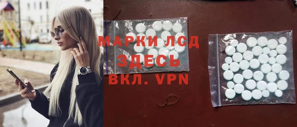 стафф Касимов