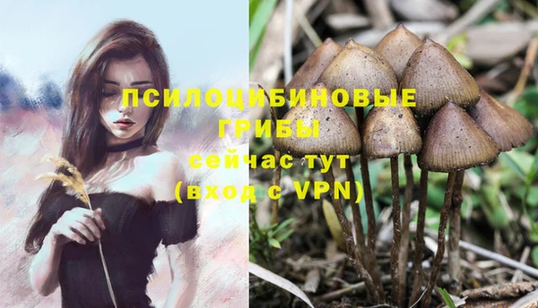 метамфетамин Горнозаводск