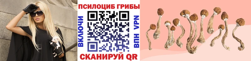 Псилоцибиновые грибы мухоморы  МЕГА маркетплейс  Кстово 